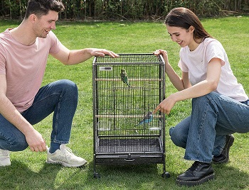 BEST PARROT 18X18 BIRD CAGE