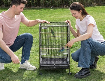 BEST PARROT 30X18X18 BIRD CAGE