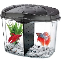 BEST PLANTED COMMERCIAL FISH TANK summary
