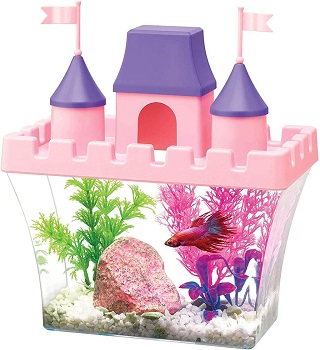 BEST PLANTED CRAZY FISH TANK