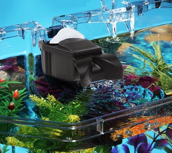 BEST SHRIMP COLD WATER FISH TANK