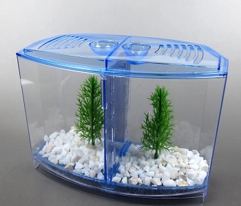 BEST SMALL COMMERCIAL FISH TANK