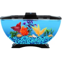 Best 6 Cat-Proof Aquarium (Fish Tank): Fake & Natural Models