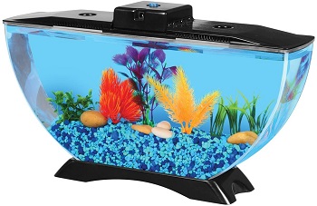 BEST SMALL FISH TANK FOR CATS