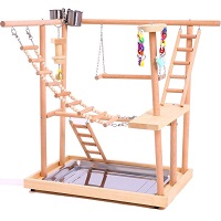 BEST SMALL PARROT PLAY GYM Summary