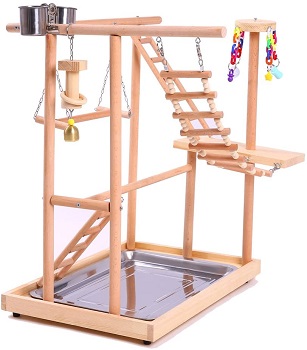 BEST SMALL PARROT PLAY GYM