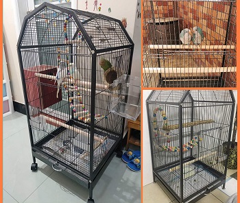 BEST SMALL PARROTLET CAGE