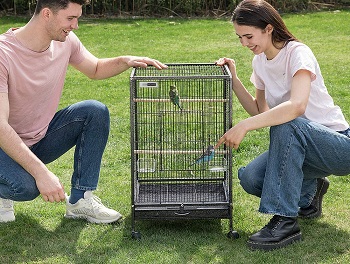 BEST SMALL QUAKER PARROT CAGE