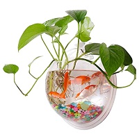 BEST WALL EASY CLEAN FISH TANK summary