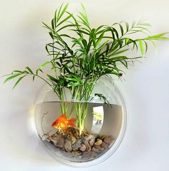 BEST WALL EASY CLEAN FISH TANK