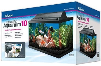BEST WITH FILTER CHEAP 10-GALLON TANK
