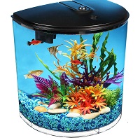 BEST WITH FILTER CURVED FISH TANK summary