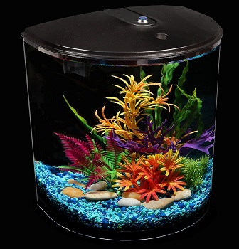 BEST WITH FILTER CURVED FISH TANK