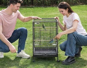 BEST WITH STAND SMALL PARROT CAGE