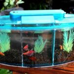 COMMERCIAL FISH TANK
