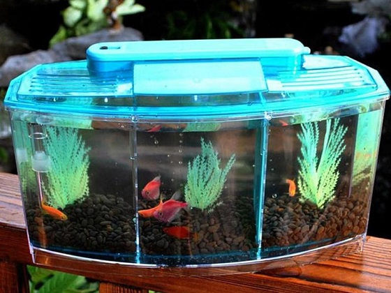 COMMERCIAL FISH TANK