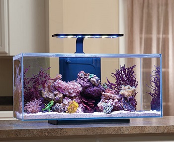 JBJ Rimless Desktop Aquarium