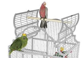 King's Cages Coppertone Bird Cage