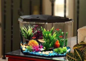 Koller Products Aquarium Kit