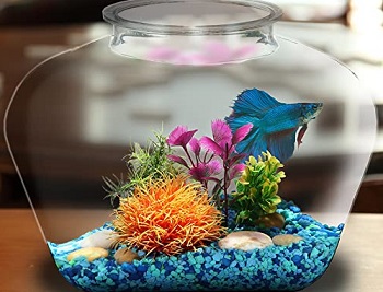 Koller Products Fish Bowl