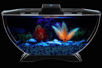 Koller Products Fish Tank