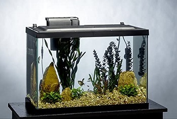Tetra Fish Tank Kit