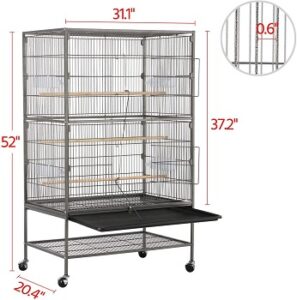 Best 6 Quaker Parrot Cages Every Bird Owner Should Use 2021