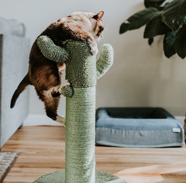 artificial cat tree indoors