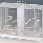 bird-cage-wire