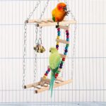 parrot-play-gym
