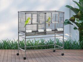 parrotlet-cage