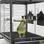 quaker-parrot-cage