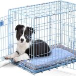best-puppy-crate-cage
