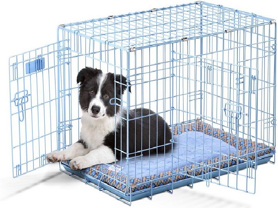 best-puppy-crate-cage