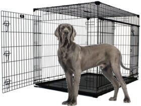 dog-crate-for-a-great-dane