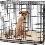 dog-crate-with-divider