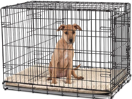 dog-crate-with-divider