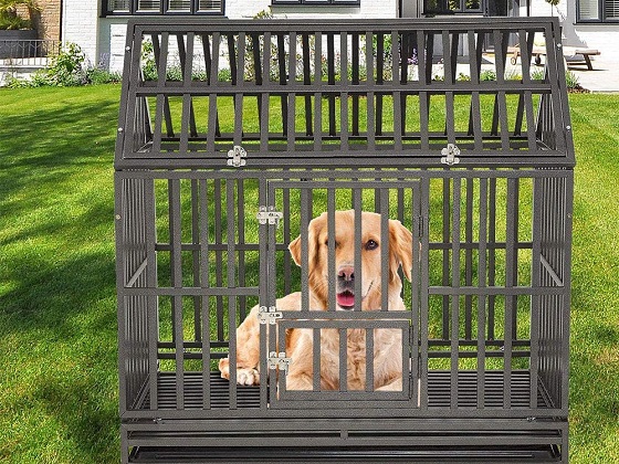 escape-proof-heavy-duty-indestructible-dog-crate-cage