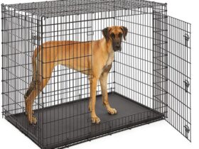 extra-large-xxl-dog-crate