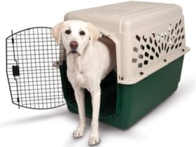 large-plastic-dog-crate