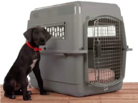 medium-size-dog-cage-crate