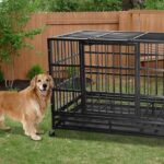 metal-crates-for-dogs