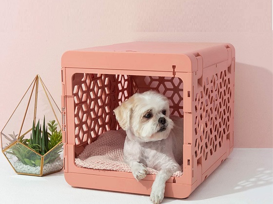 pink-dog-crate