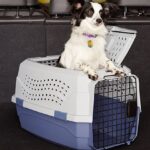 plastic-dog-crates