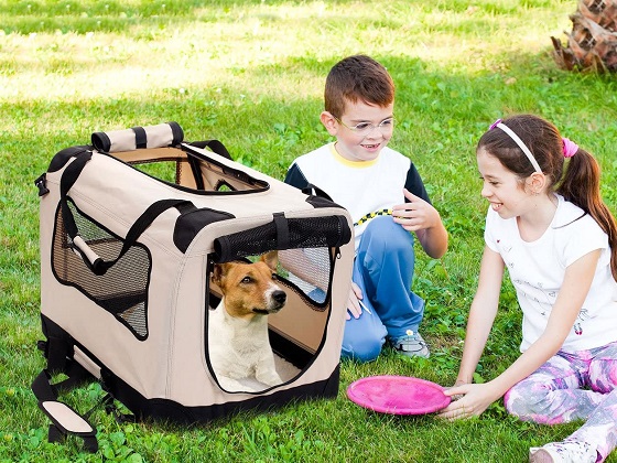 pop up dog crate