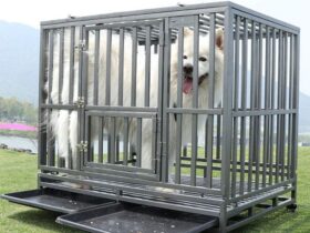 steel-dog-crate