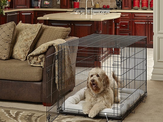 wire crates for dogs