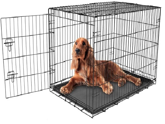 36-inch-dog-crate