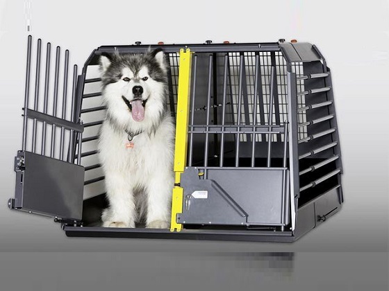 42-inch-dog-crate