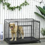 48-inch-dog-crate